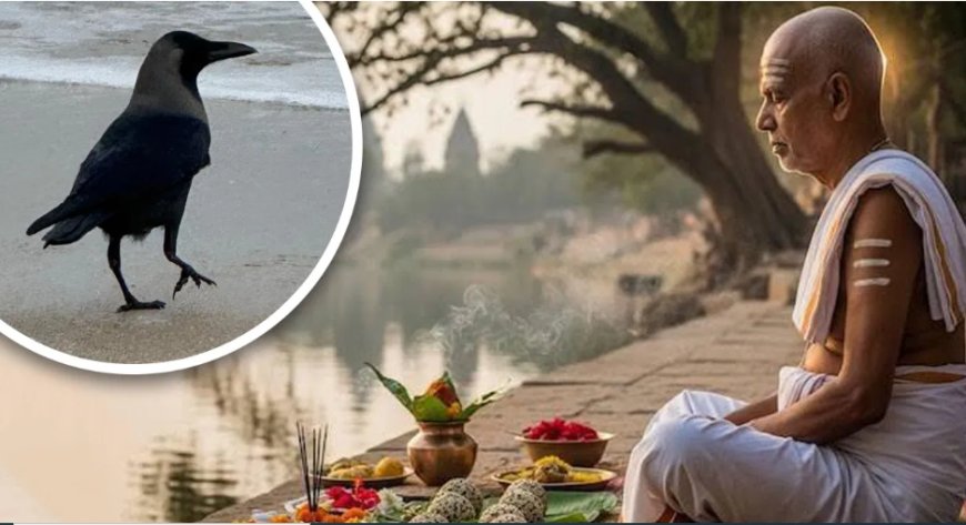 आखिर क्यों पितृ पक्ष को मानते हैं अशुभ, जब हमारे ही हैं तो क्यों करेंगे अमंगल?